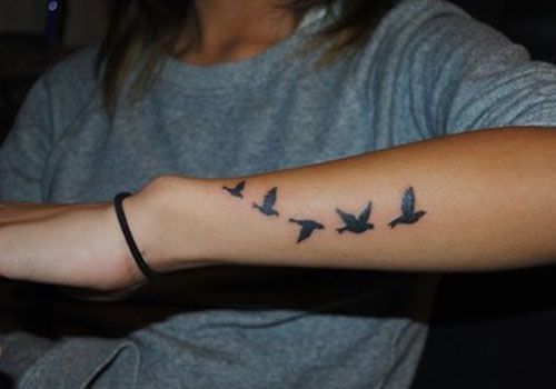 Vogels zouden er geweldig uitzien op je onderarm