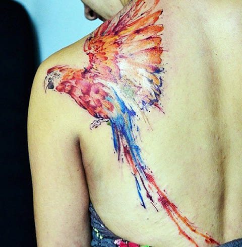 Papagaio adquirido através de tatuagem na omoplata e nas costas