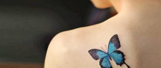 蝶の入れ墨の意味