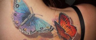 Farfalle del tatuaggio