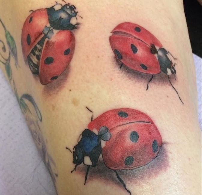 Ladybird tatuiruotės reikšmė vyrams