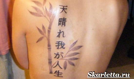 Tatuaj Litere Semnificație- Tatuaj Litere schițe și imagini de Tattoo Litere-7
