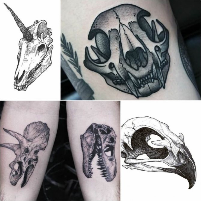Tatuiruotė kaukolė - Tatuiruotė gyvūnų ir paukščių kaukolė - Kaukolės tatuiruotė