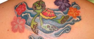 татуировка на костенурка