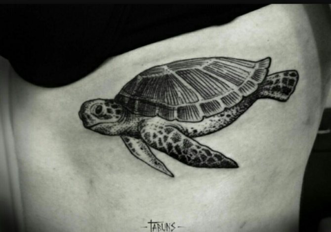 kilpikonna tatuointi