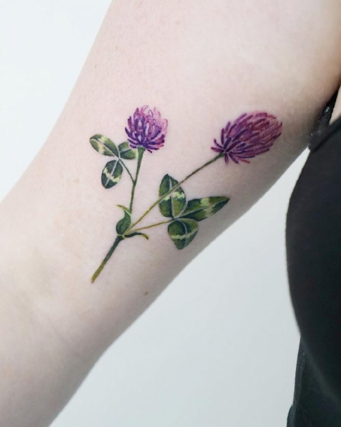 Tatuagem de uma flor de trevo
