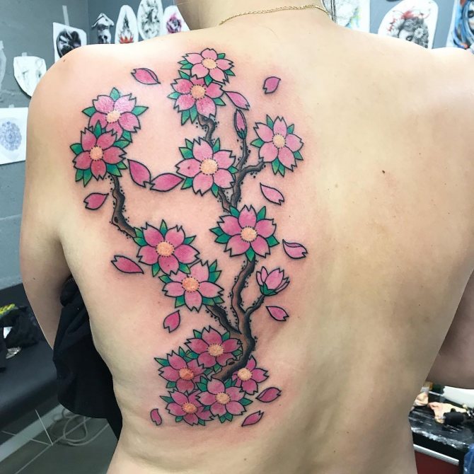 Tattoo Sakura træ på en kvindes ryg