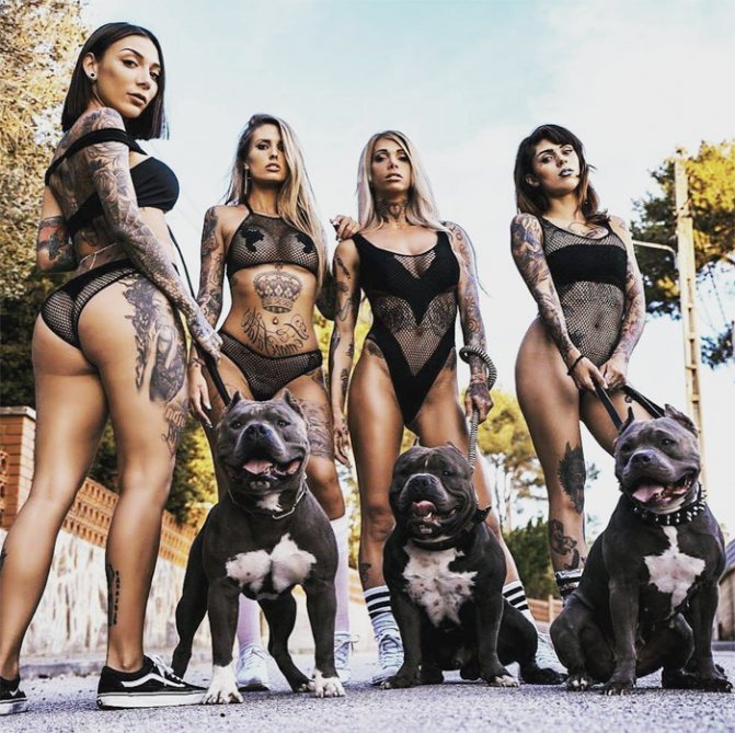 Tatuiruotė mergaitė su šunimis