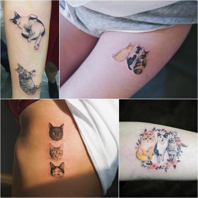 Tetovanie pre dievčatá - Tetovanie mačky pre dievčatá - Lady cat tetovanie