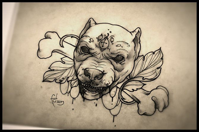 Tetoválás vázlat démoni pitbull