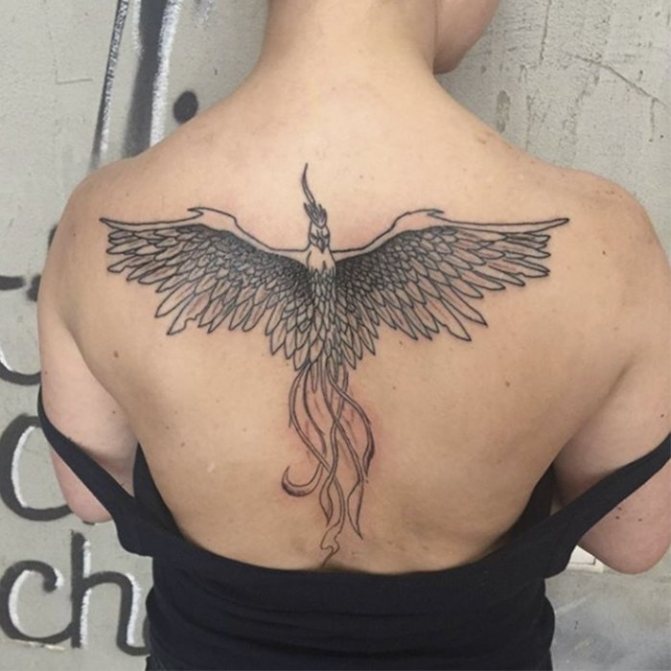 tatuaggio fenice sulla schiena