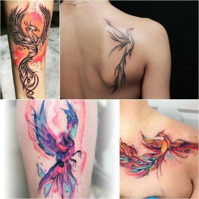 Tattoo Phoenix - Tattoo Phoenix on Scapula - Phoenix tattoo on his scapula