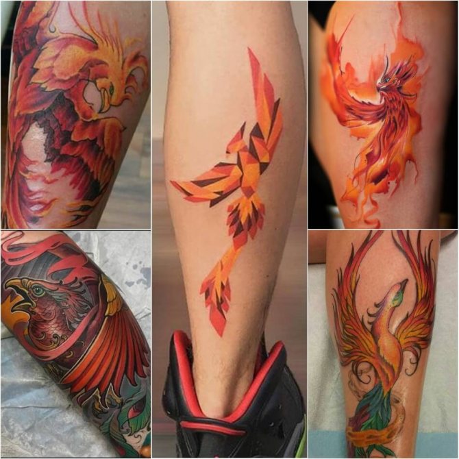 Tattoo Phoenix - Tattoo Phoenix på benet - Tattoo af phoenix på benet