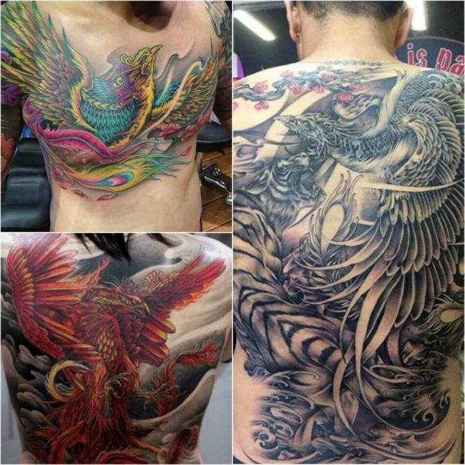 Tattoo Phoenix - Tattoo Phoenix japanilaiseen tyyliin - Tattoo Phoenix Japanissa