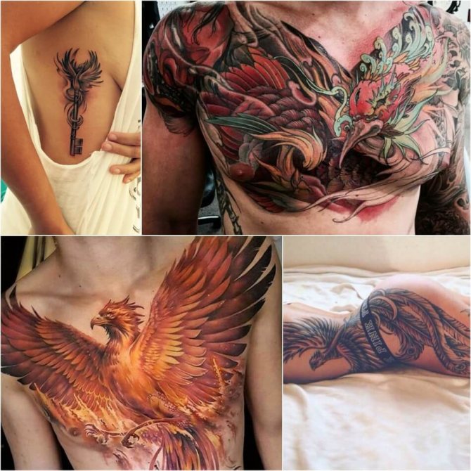 Tattoo Phoenix - Betydning af Tattoo Phoenix - Tattoo Phoenix Betydning
