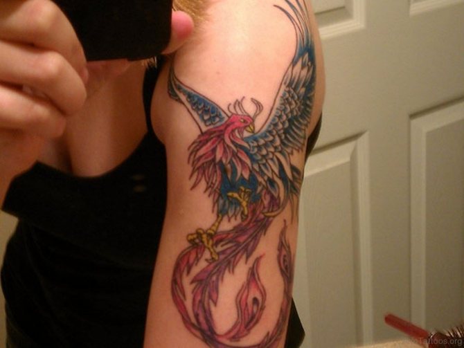 phoenix tatuaj
