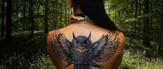 tatoeage adelaar uil