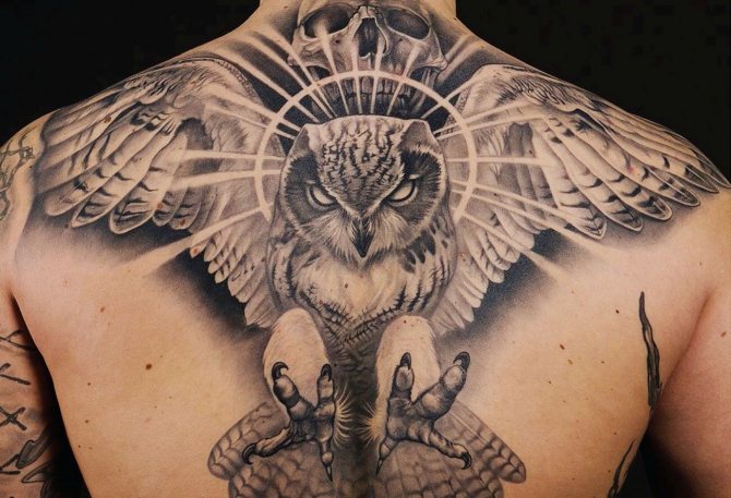 tatuaj vultur bufniță