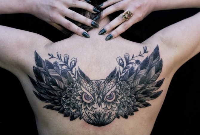 tatuaj vultur bufniță