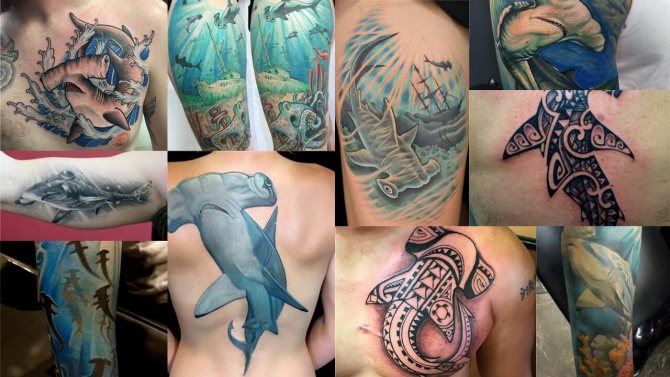 Tetoválás fotó egy pörölyfejű halról