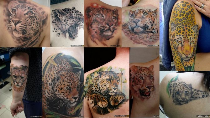foto tattoo van een jaguar