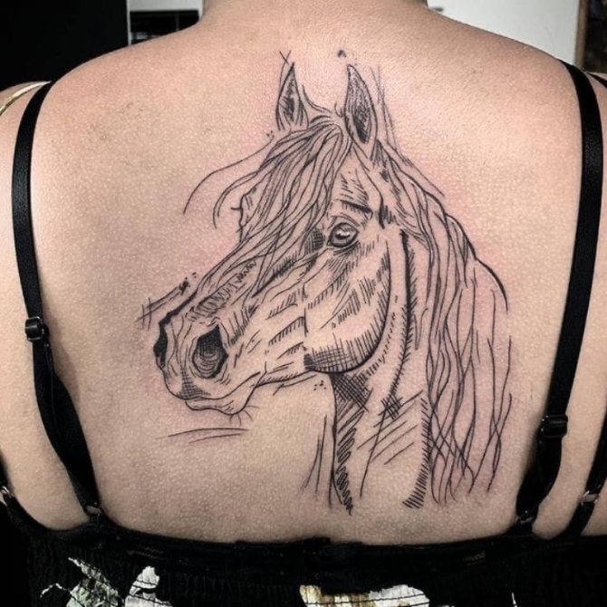 Pferdekopf-Tattoo
