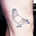 Tetoválás egy galamb