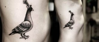 Kyyhkysen tatuointi kylkiluissa