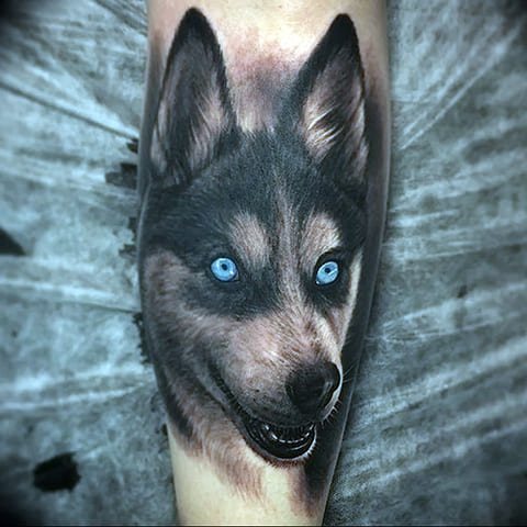 Husky tatoeage - foto