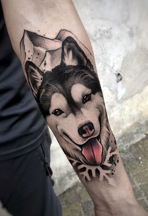 Husky tatuaggio sul braccio maschile - foto