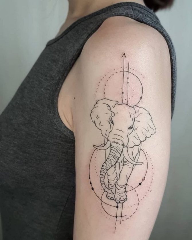 elefant tatovering betydning