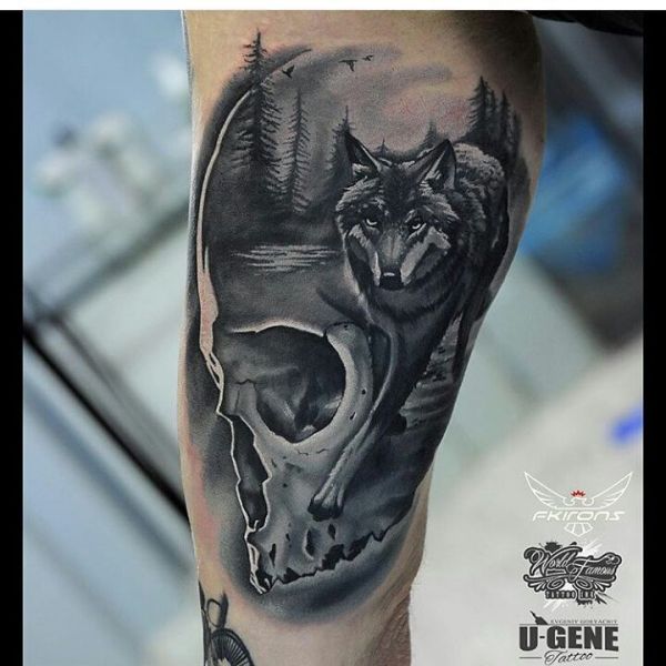 Imagem tatuada de lobo no crânio