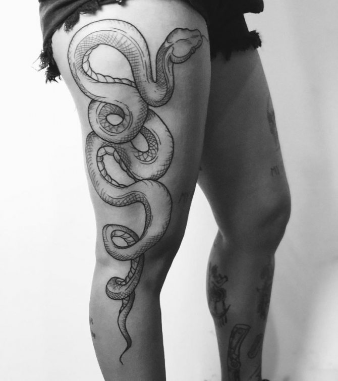tetovējums kobra skices