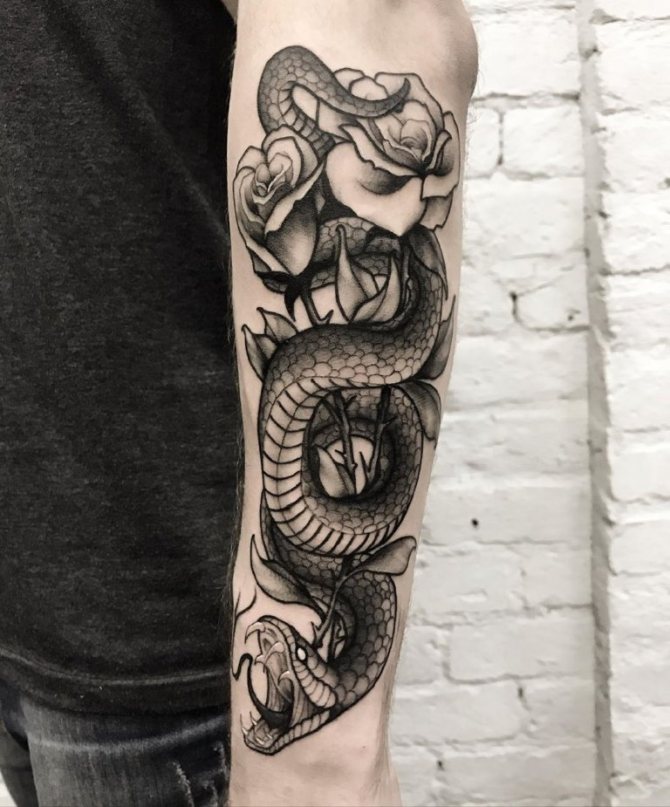 tatuagem de cobra no ombro