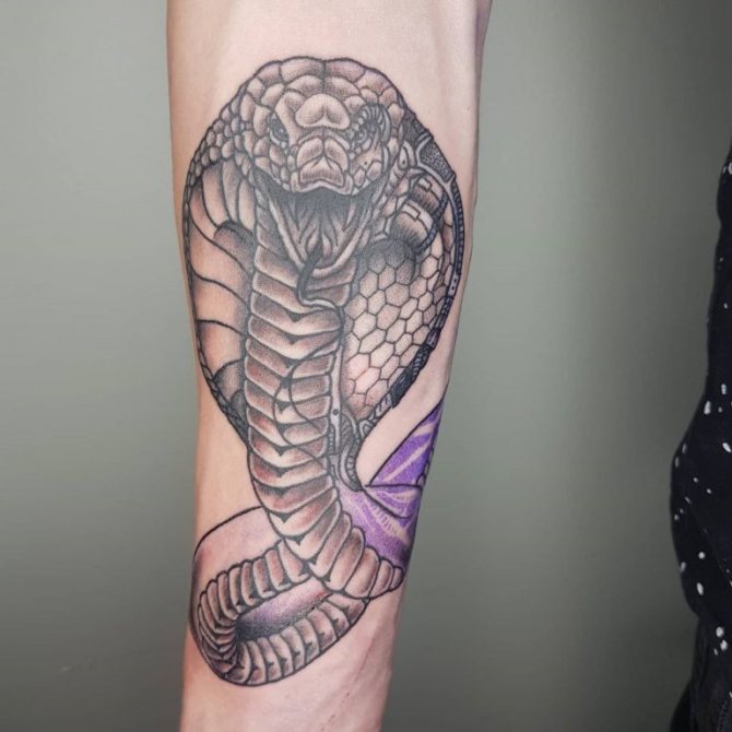 cobra tatuaj semnificație