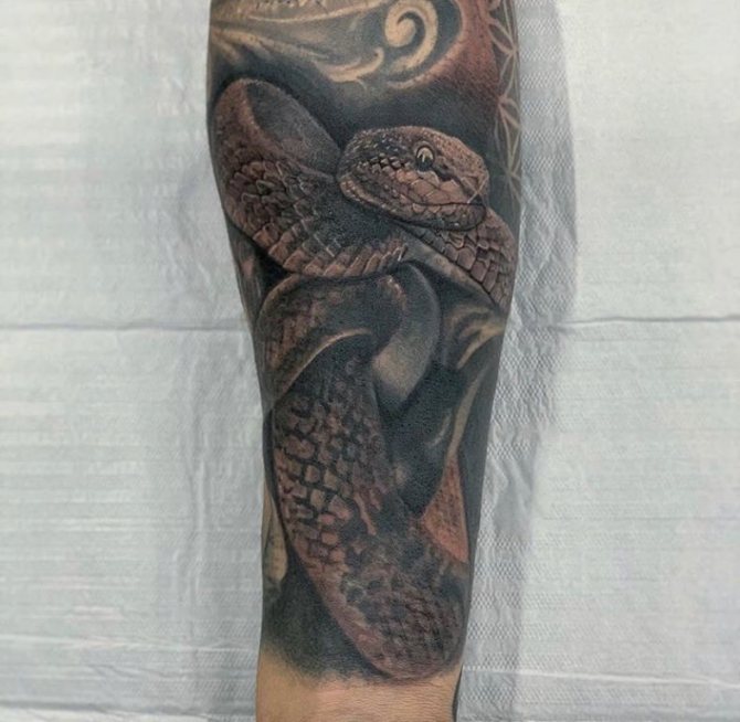 tatuiruotė kobra