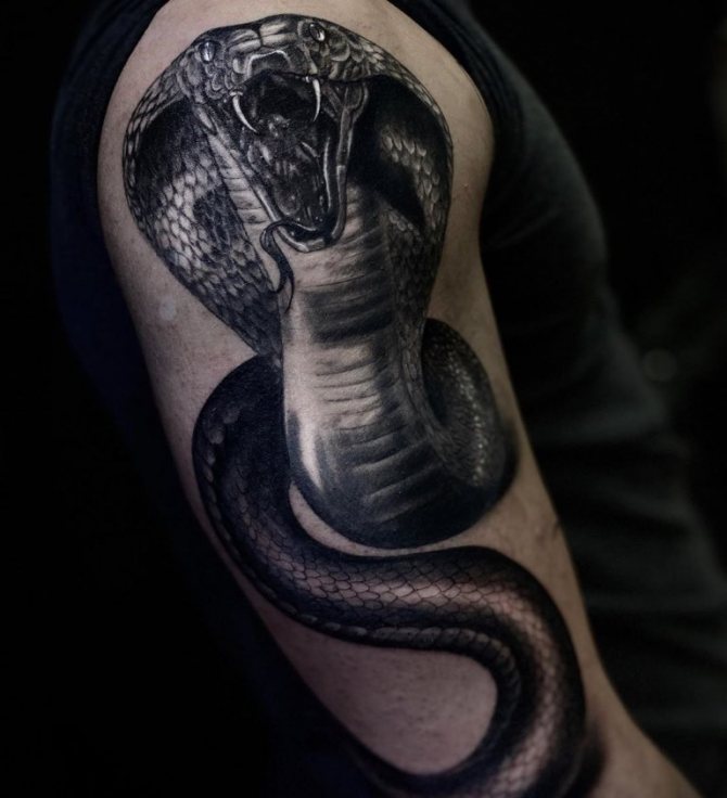 význam tetovania kobra