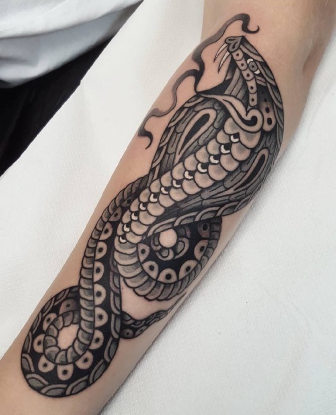 kobra tetoválás