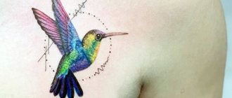 Kolibrio tatuiruotė