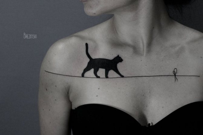 Tatuiruotė katė eskizas