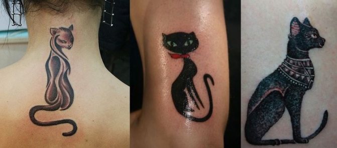 Tetování kočky skica
