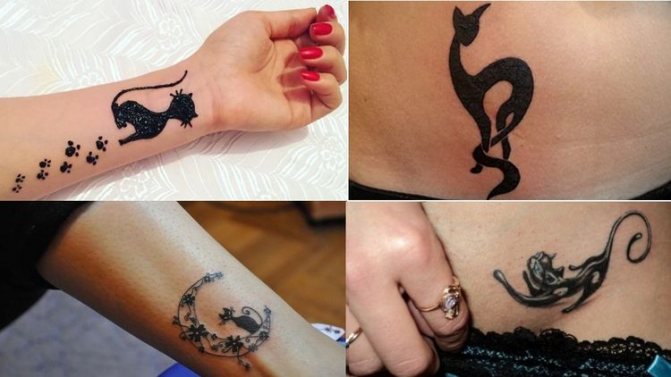Tetovanie Cat skica