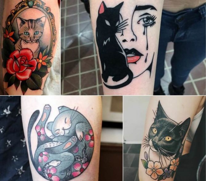 Gammel stil kat tatovering