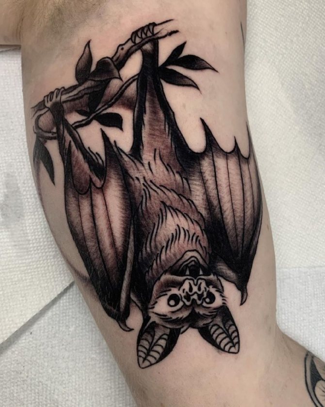 pipistrello tatuaggio