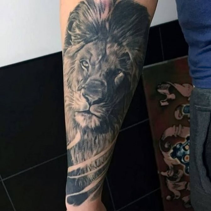 前臂上的黑工狮子纹身现实主义