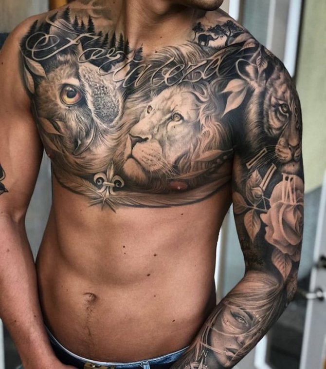 Leão e coruja tatuados
