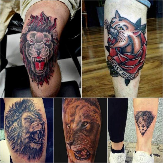 Tattoo Lion - Tatovering af løve på benet - Tatovering af løve på benet