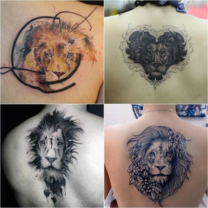 Tatuiruotė Lion - Tatuiruotė Leo ant nugaros - Tatuiruotė Leo ant nugaros