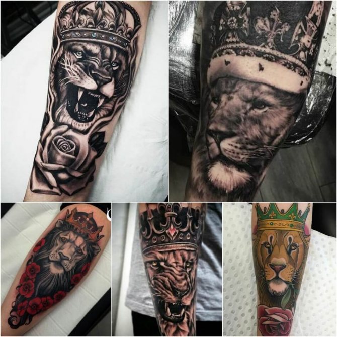 Oroszlán tetoválás - Oroszlán tetoválás koronával - Oroszlán tetoválás koronával