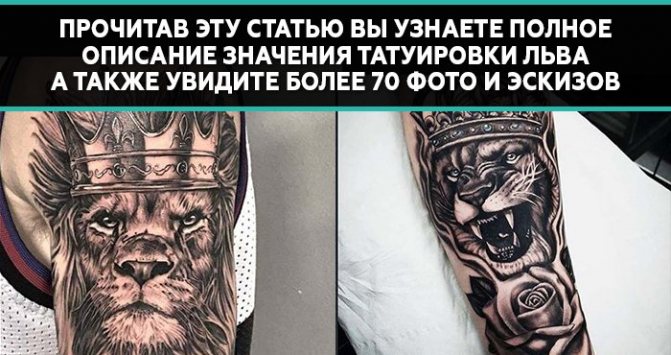 Tatuiruotės reikšmė liūtas